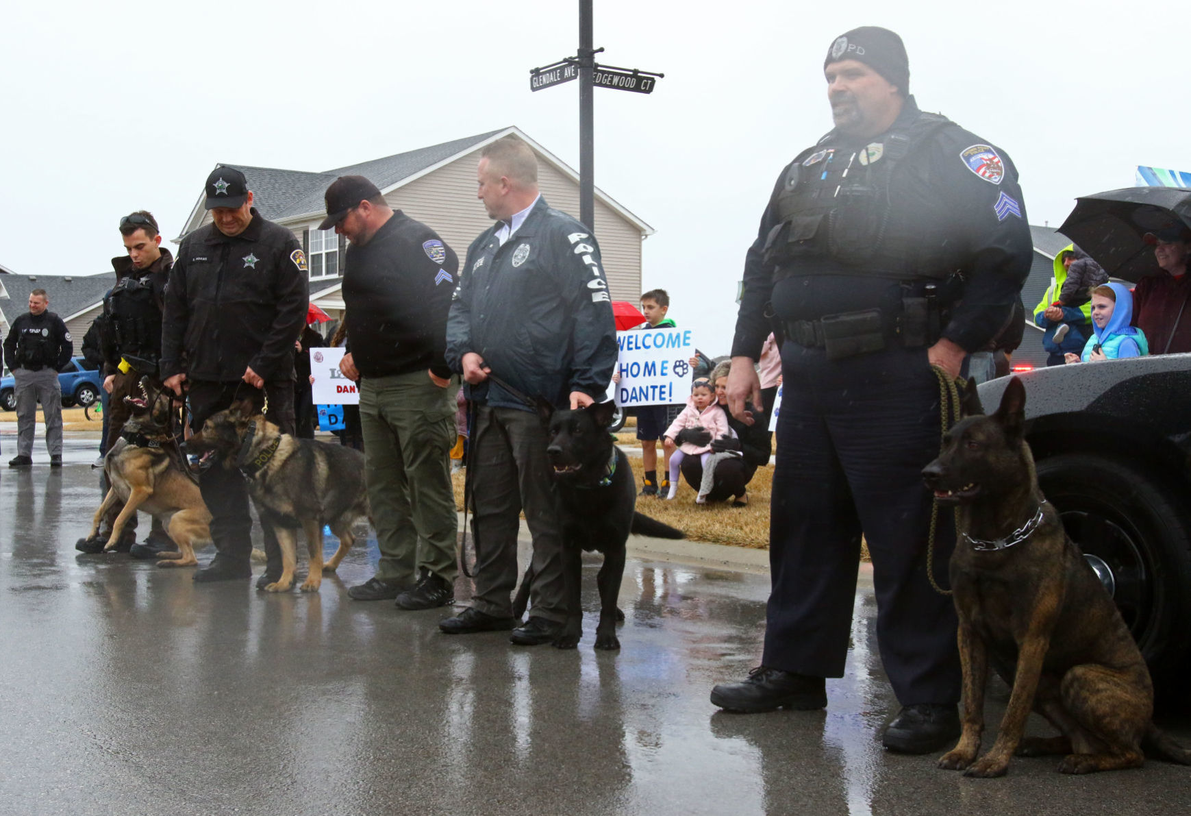 K-9 Dante's return